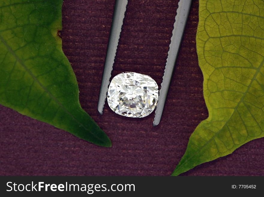 Closeup of a one carat cushion cut diamond with green leaves on purple background