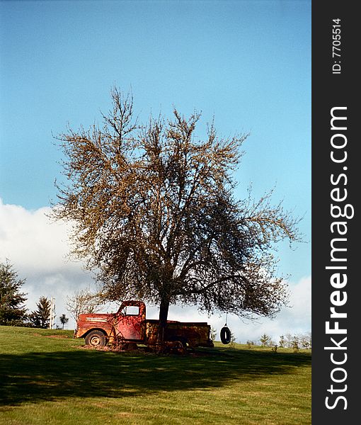 This is an old farm truck that i saw sitting in a field under an old tree.