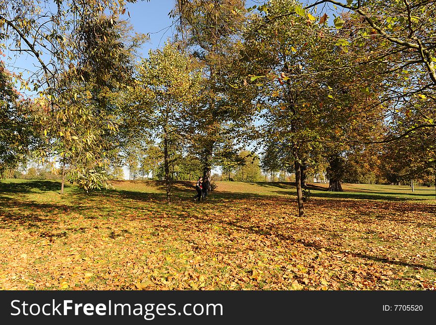 Autumn in Hyde Park, London. Autumn in Hyde Park, London