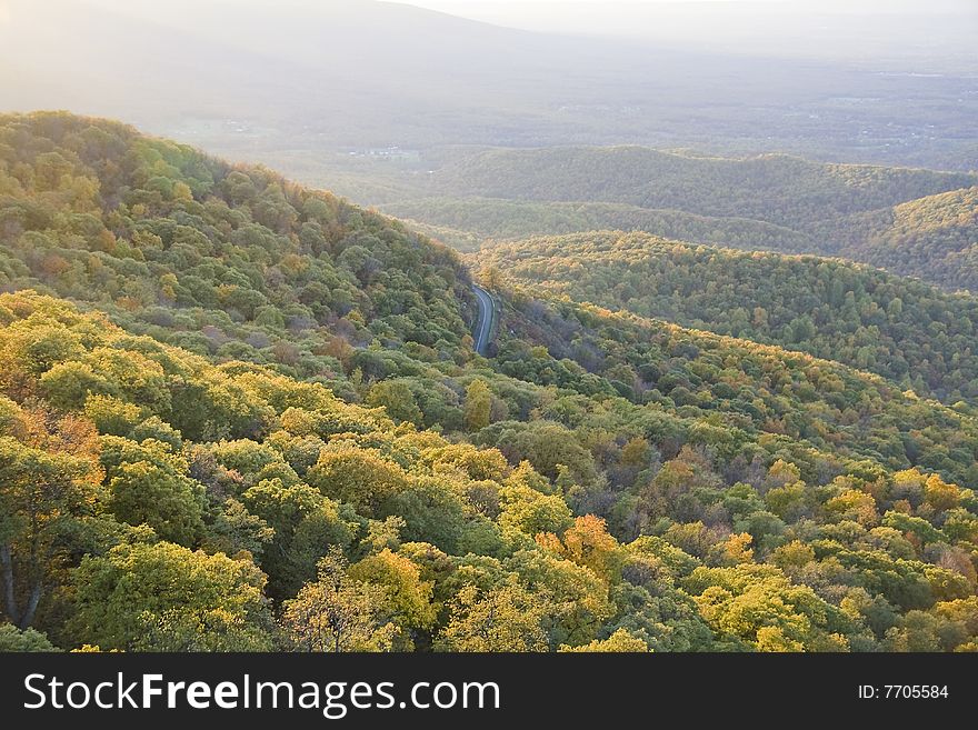 Autumn mountain tree tops