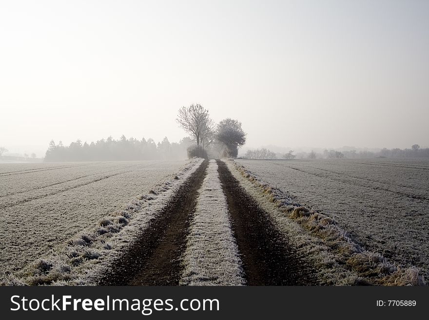 A rutted track crosses a bleak midwinter scene. A rutted track crosses a bleak midwinter scene.