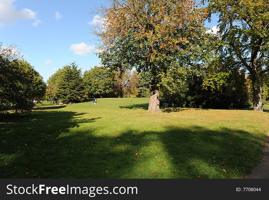 Autumn in Hyde Park, London. Autumn in Hyde Park, London