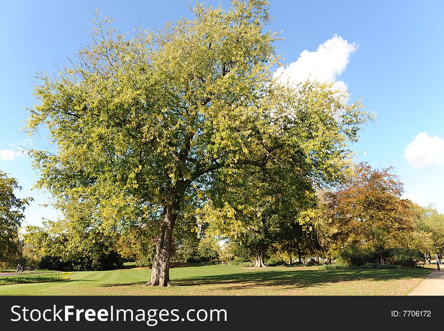 Autumn in Hyde Park, London. Autumn in Hyde Park, London