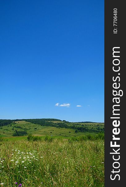 Meadow in Poland with beautiful sky. Meadow in Poland with beautiful sky