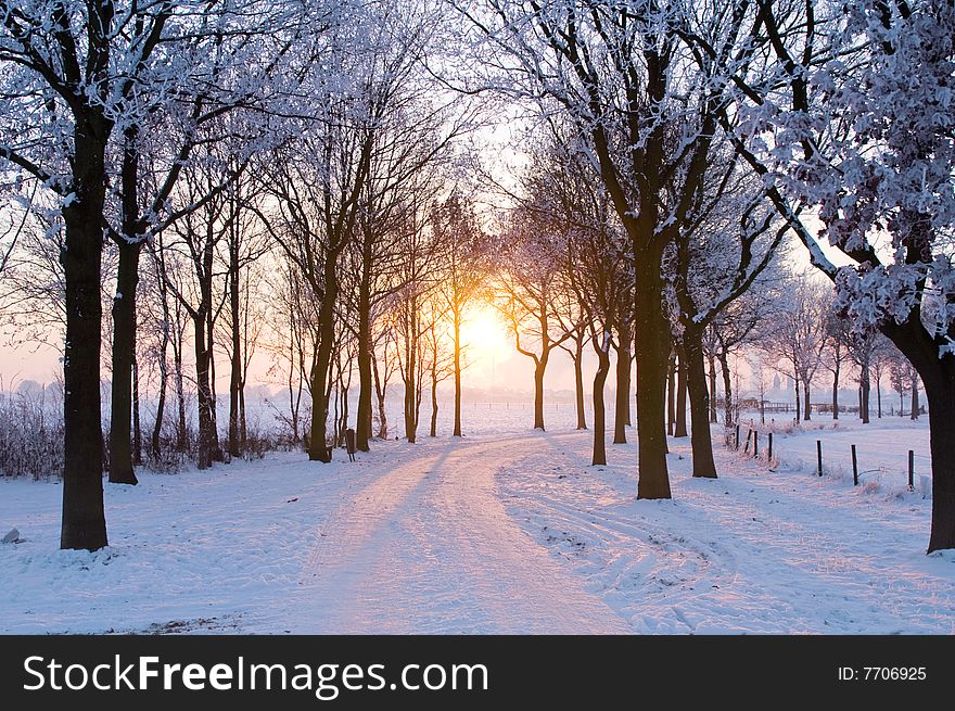 Scenic winter landscape with sunset trough some trees coming. Scenic winter landscape with sunset trough some trees coming