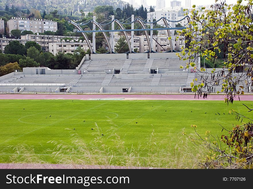 Fragment of a soccer field with a tribune behind it