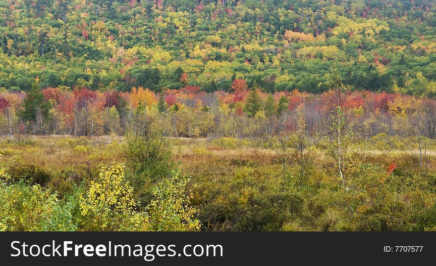 autumn hill, colors. trees and path.  autumn hill, colors. trees and path