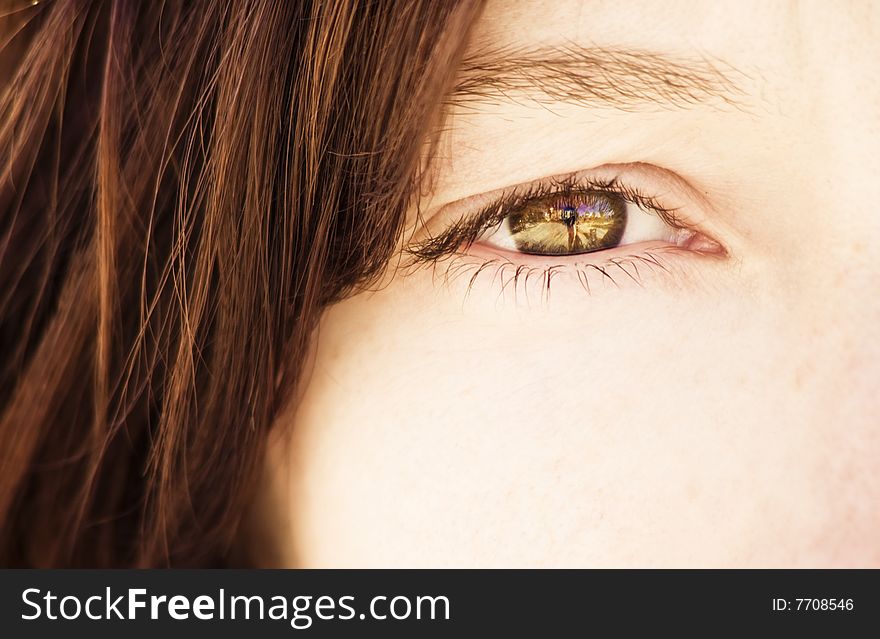 Closeup on impressive green eye. Closeup on impressive green eye.