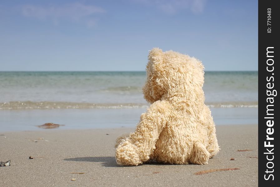 Teddy alone at the Beach - Symbolic, for Single seeking Partner, Sadness, etc. Teddy alone at the Beach - Symbolic, for Single seeking Partner, Sadness, etc.