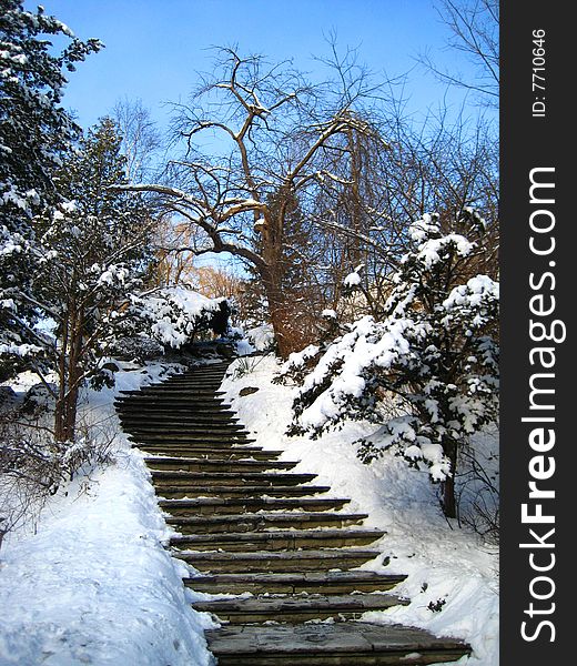 This is a park landscape in the winter. This is a park landscape in the winter