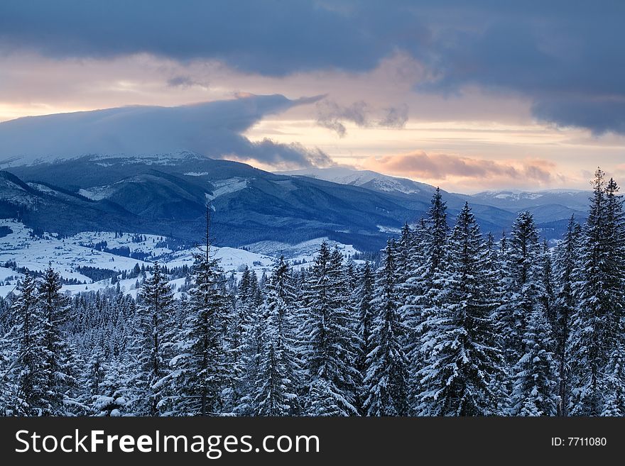 Mountains and forest