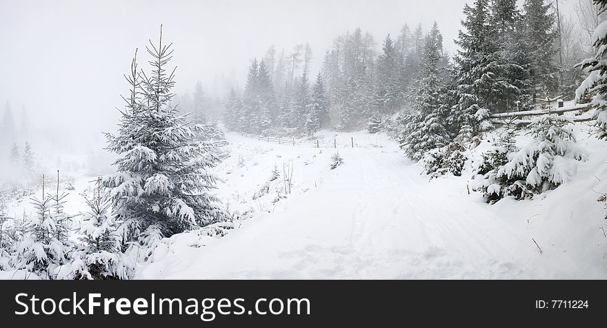 Stock photo: an image of a road in winter forest. Stock photo: an image of a road in winter forest