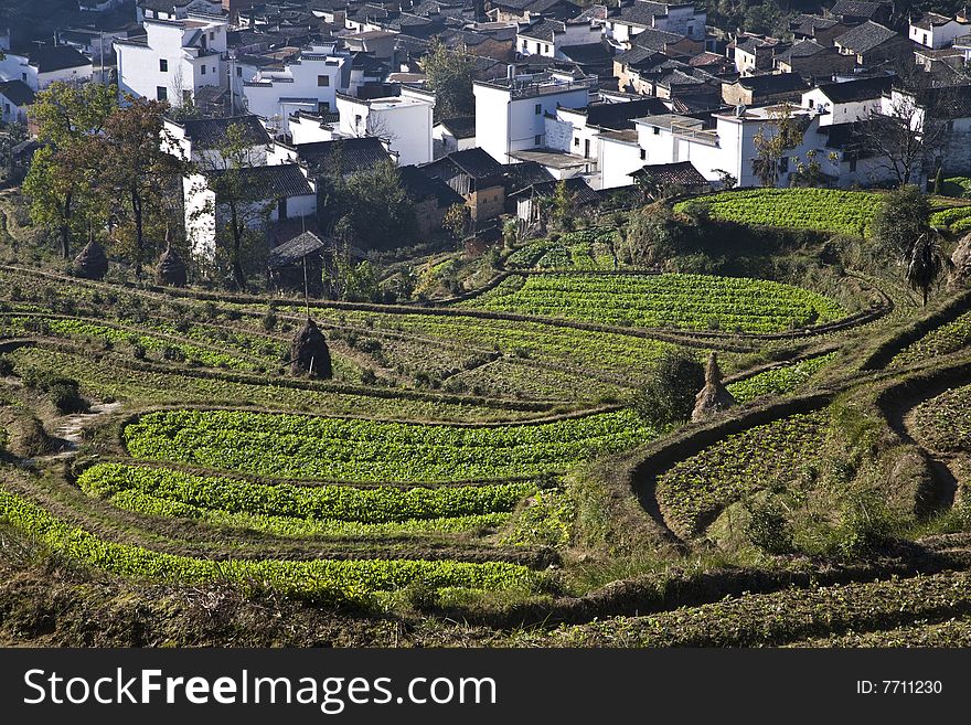 A village around by terraces in the south of china