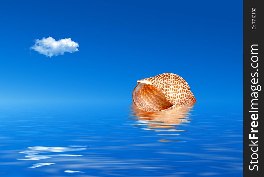 Shell in water