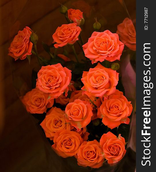 Close-up bunch of red roses to background