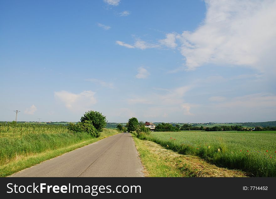 Summer day and country road