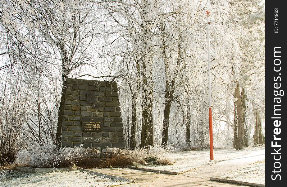 Freeze winter in snowy forest