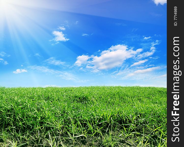 Field of green grass and blue sun sky