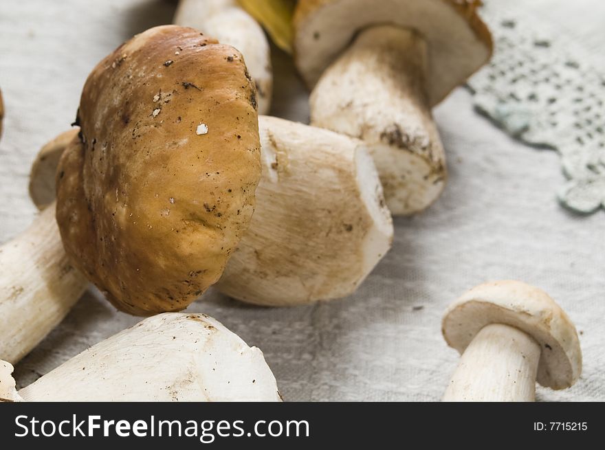 Beautiful white mushroom on a table-cloth. Beautiful white mushroom on a table-cloth