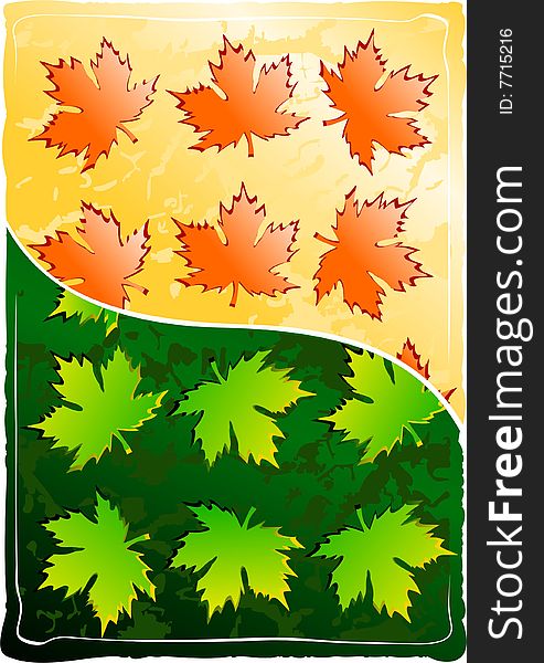 Background with maple leaves, there is a vector