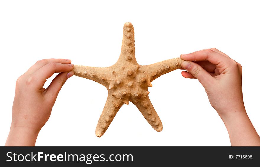 Girl s hands holding starfish