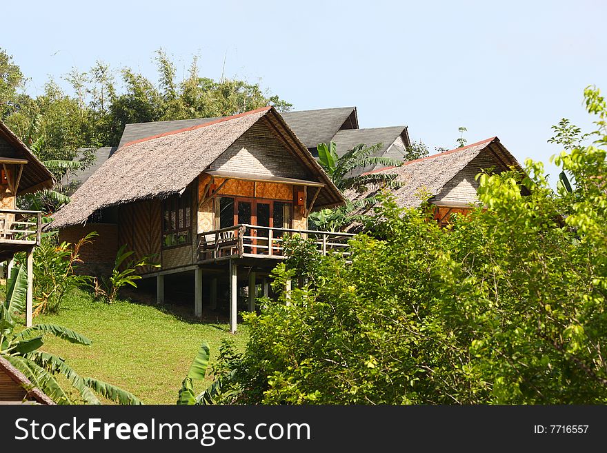 Thatch roof