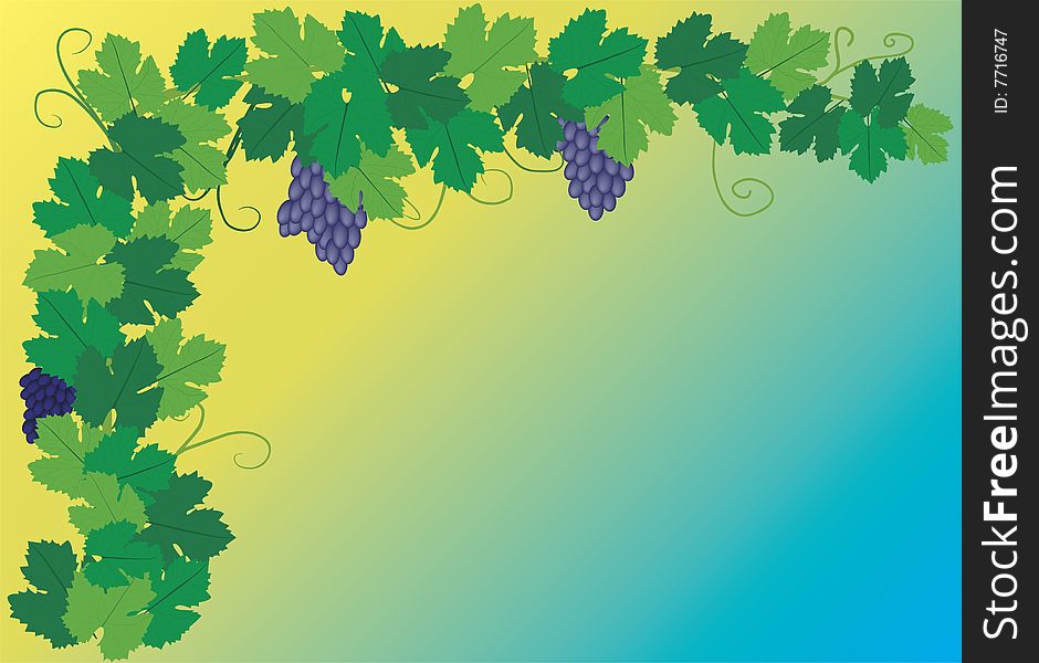 Blue grape with leaves.vector background