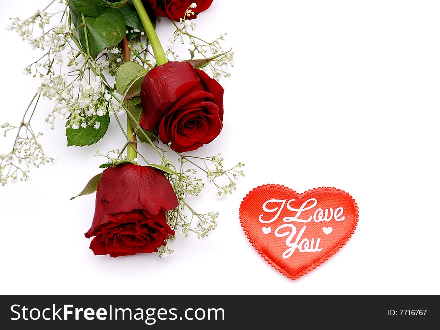 Two Red Roses isolated on white
