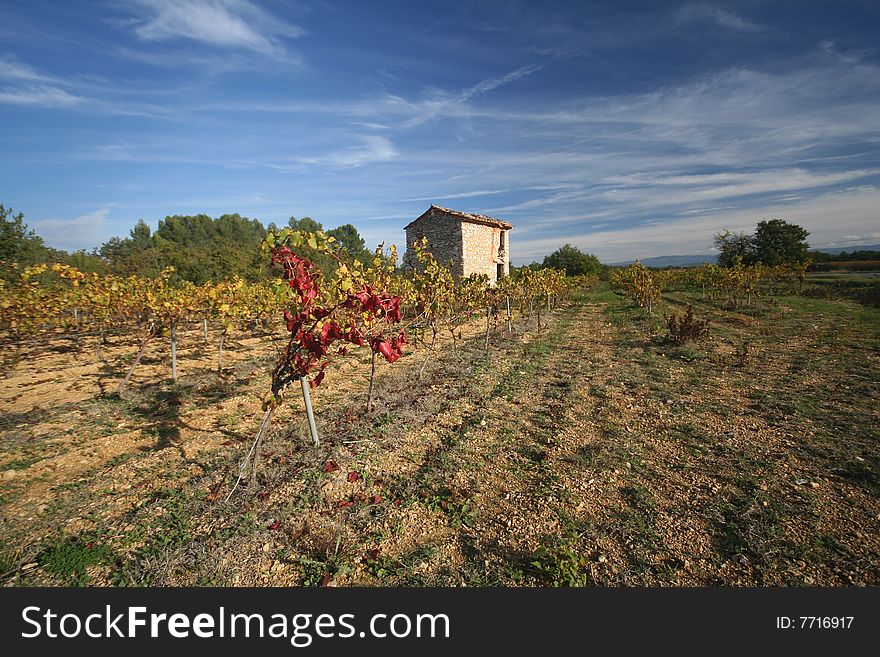 An abandoned stone shack sits in the middle of vineyards near Roussillion in the Provence region of France. An abandoned stone shack sits in the middle of vineyards near Roussillion in the Provence region of France.