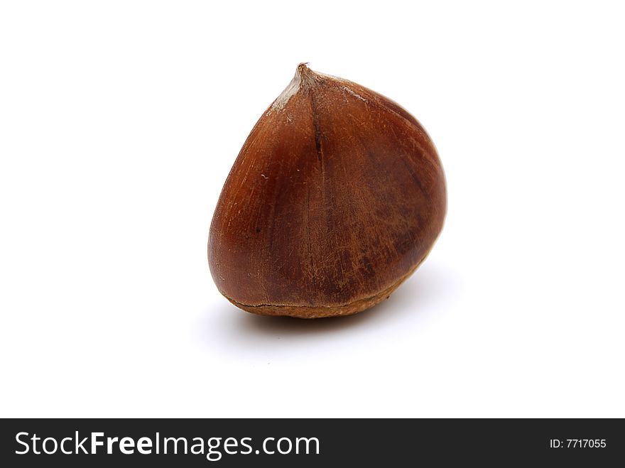 Chest nut isolated on white background. Chest nut isolated on white background