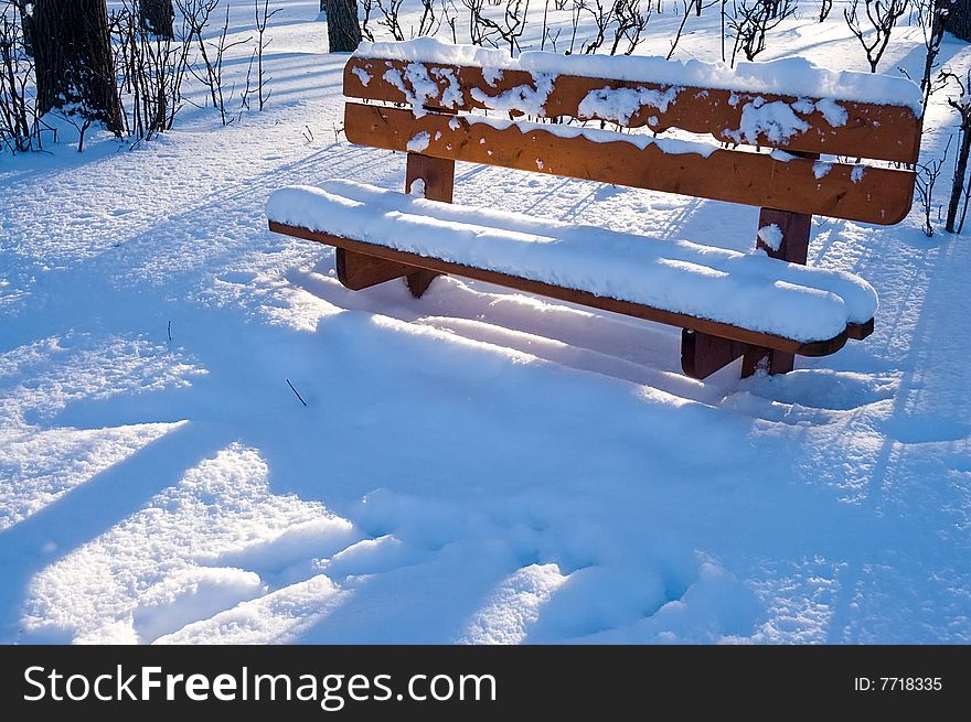 Wood Bench In Winter Forest