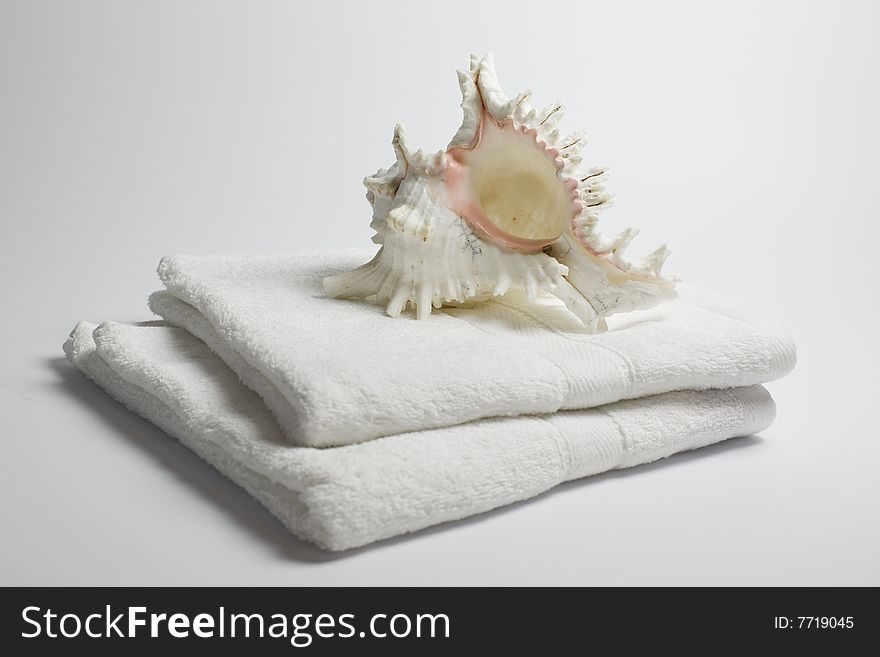 A beautiful seashell lying on two white towels, simple background - a bath theme. A beautiful seashell lying on two white towels, simple background - a bath theme.