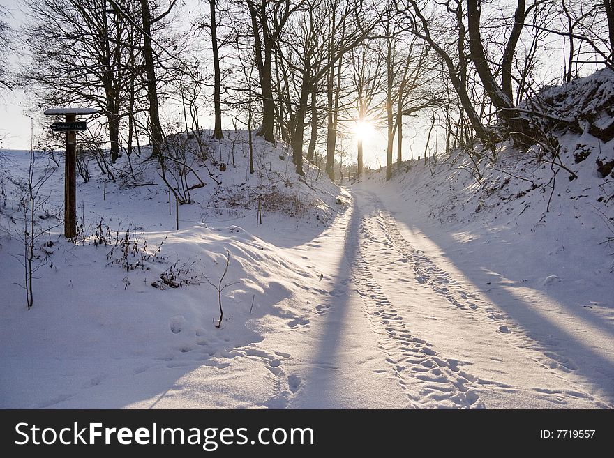 Snow Footpath at Wintertime with Back Light. Snow Footpath at Wintertime with Back Light