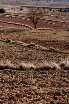 Red Autumn Landscape, Empty Fields, Mountains Royalty Free Stock Photo Red Autumn Landscape, Empty Fields, Mountains Royalty Free Stock Photo