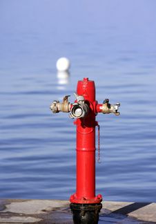 Sea Marine Hydrant In Mediterranean Sea Royalty Free Stock Photography Sea Marine Hydrant In Mediterranean Sea Royalty Free Stock Photography