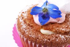 Miniature Cupcake With Meringue Stock Photo