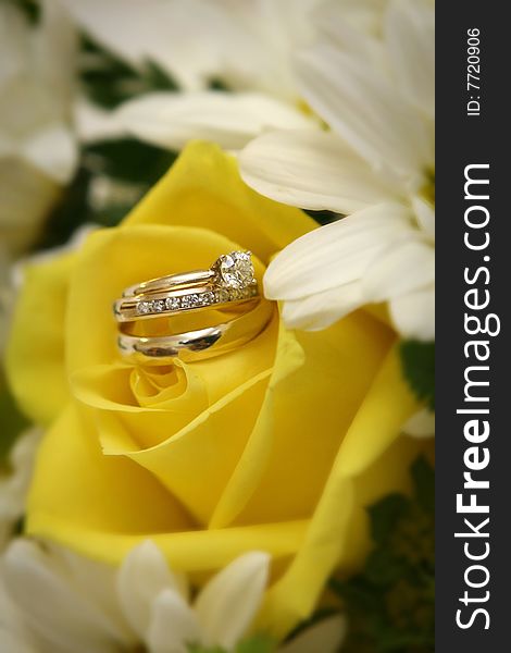 Wedding bands tucked into a yellow rose with shallow DOF. Wedding bands tucked into a yellow rose with shallow DOF