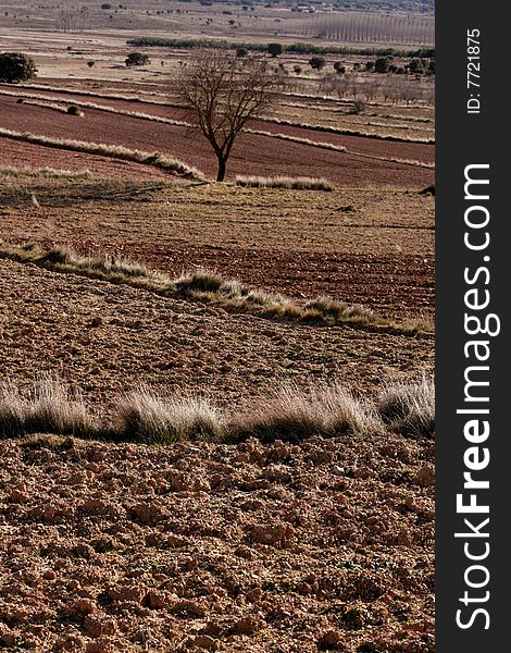 Red autumn landscape, empty fields, mountains in Barracas, Castellon, Spain