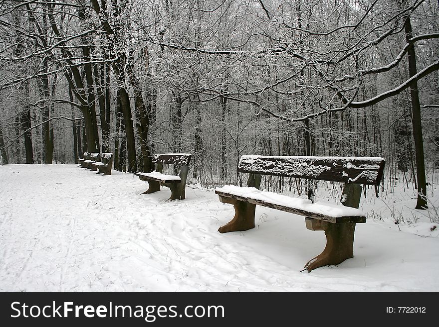 Winter scenery with benches in front covered with snow.