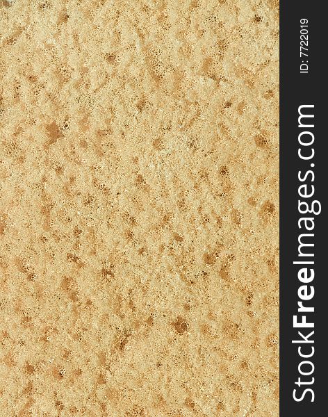 Close up of the surface of a sponge. Great texture and background image