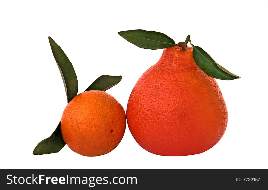 Tangerine and orange isolated on white background