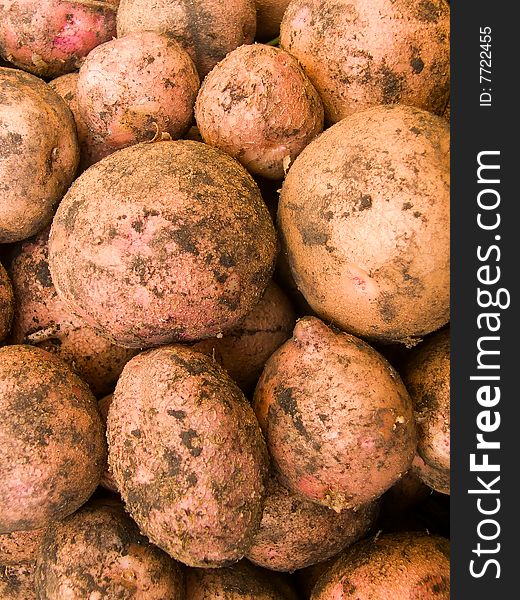 Crop of tubers of a potato an abstract background. Crop of tubers of a potato an abstract background