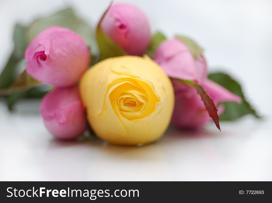 Bouquet of pink roses with yellow rose on focus. Bouquet of pink roses with yellow rose on focus