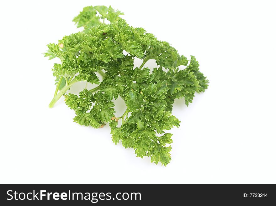 Photo with fresh parsley in the white