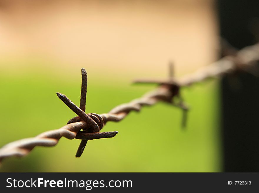 A close-up picture of some barb wire on an old military farm in South-Africa