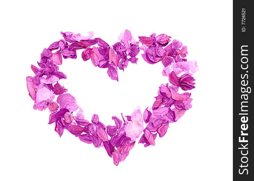 Heart made of violet petals. Heart made of violet petals