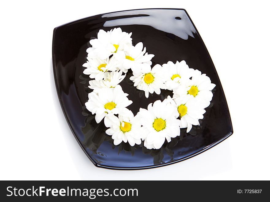 Heart made of white chamomile flowers lying on black plate. Heart made of white chamomile flowers lying on black plate