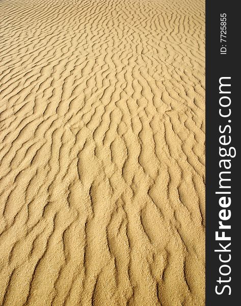 Texture of dune near the sea. Texture of dune near the sea