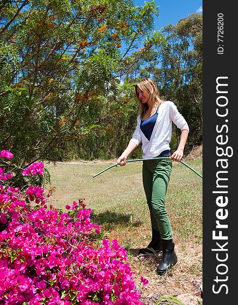 Woman watering pink bugonvia flowers