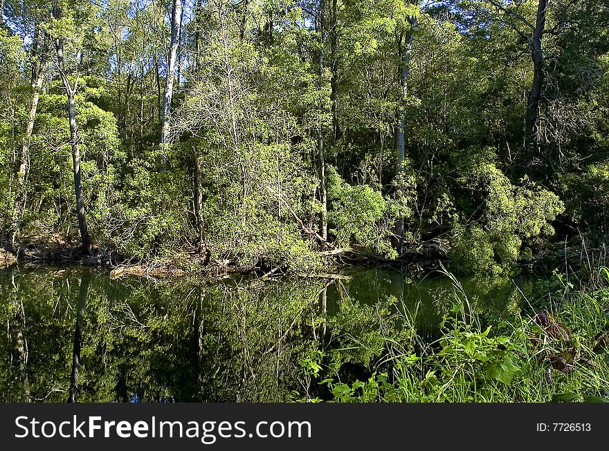 Lake with reflections in Sintra, Portugal. Lake with reflections in Sintra, Portugal